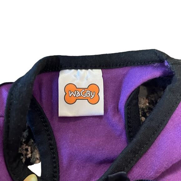 " lil witch" Halloween Dress for Small Dogs - Picture 2 of 4